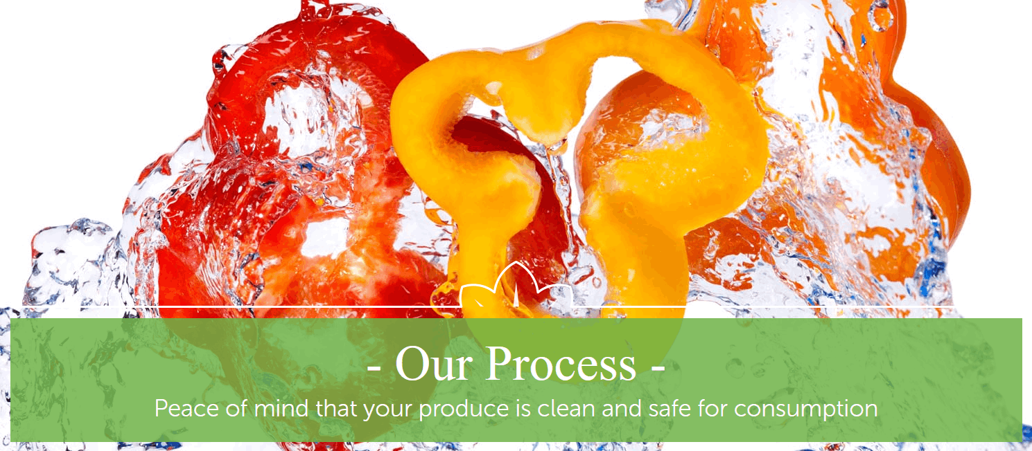 Food Safety Process